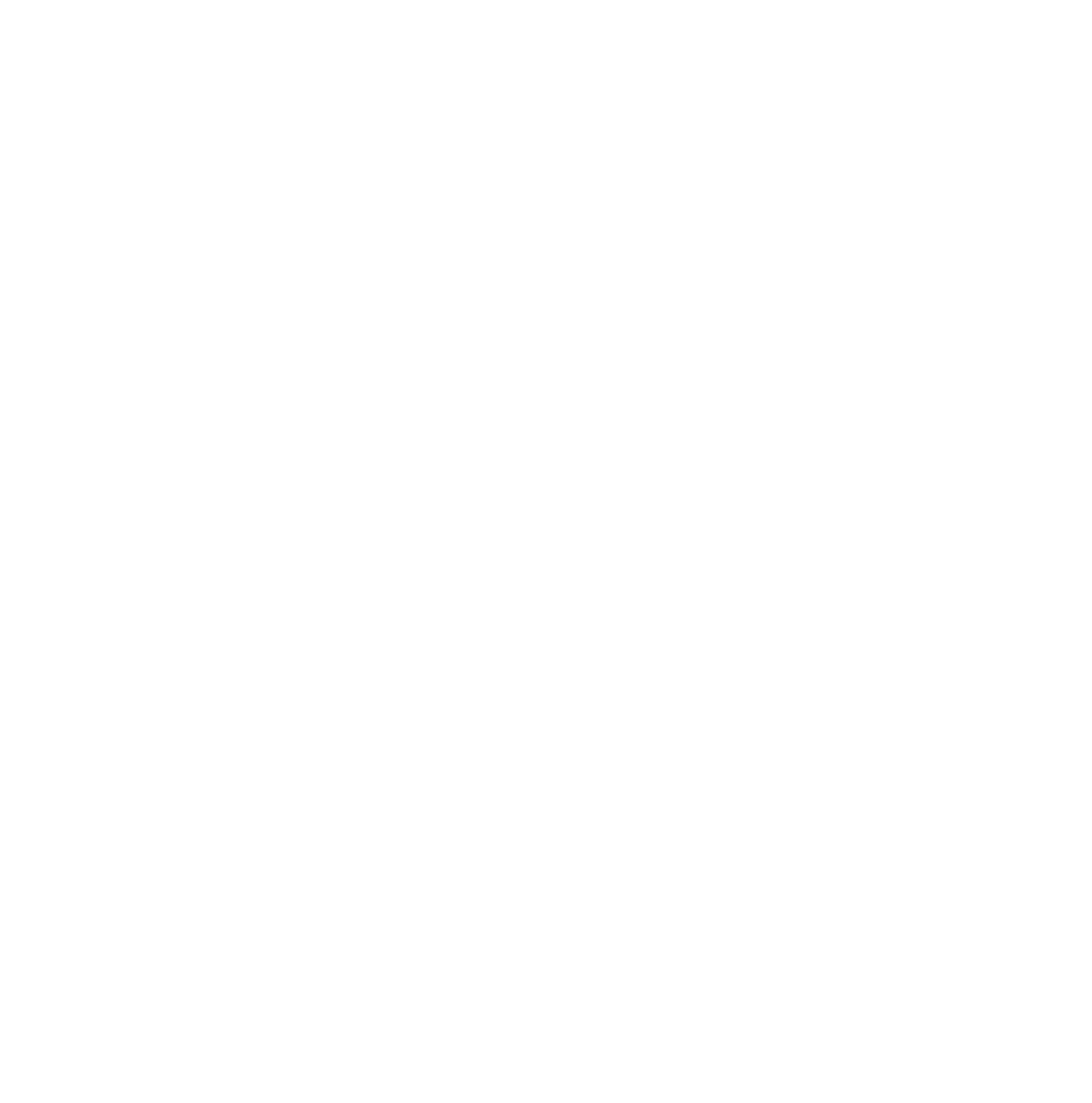 Dispuut Aleph wapen